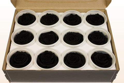 Størrelse S, 12 roser
