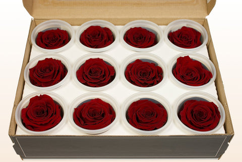Størrelse S, 12 roser