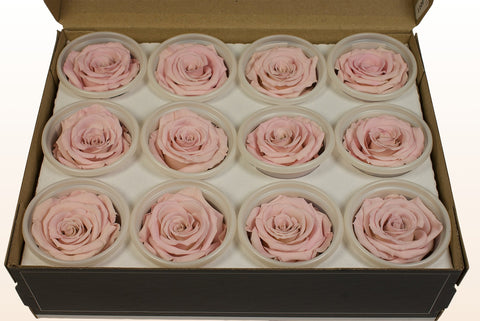 Størrelse S, 12 roser