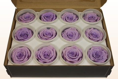 Størrelse S, 12 roser