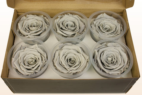 Størrelse XL, 6 roser